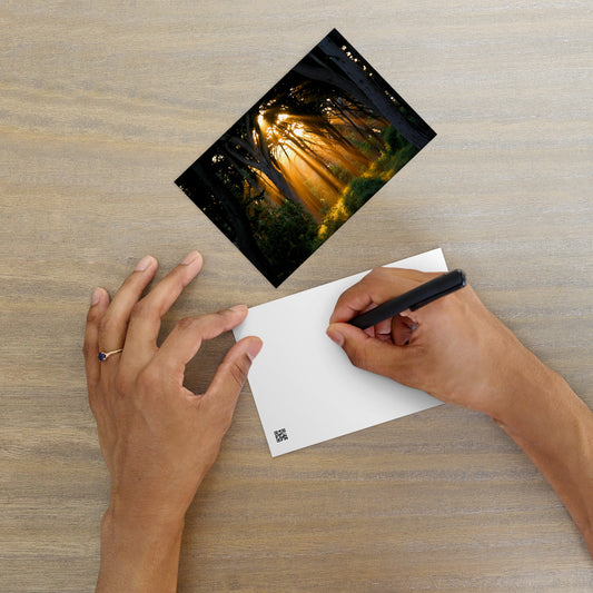 The Light at the End, Lands End, San Francisco, CA Photo Postcard